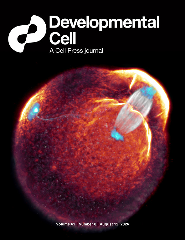 Developmental Cell, Volume 61, Issue 8, August 12, 2026