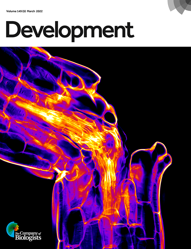 Development, Volume 149, Issue 5, March 2022