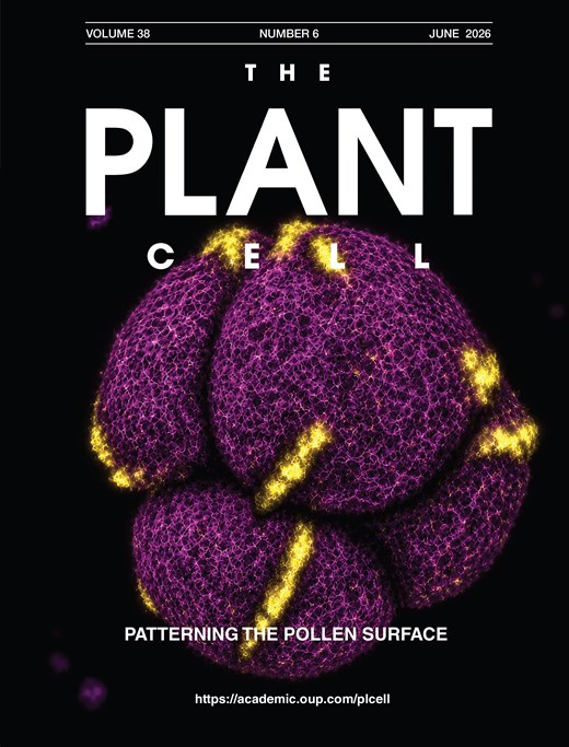 The Plant Cell, Vol. 38 · Issue 6 · 2026: cover of the issue containing this paper