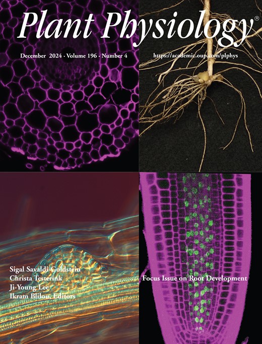Plant Physiology, Vol. 196 · Issue 4 · 2024: cover of the issue containing this paper